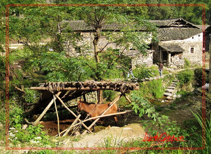 10.2~3小溪坑_寺家坑_天柱2日驴