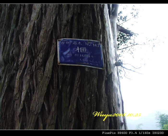 [天台驴友俱乐部]活动之____九遮揽胜,雪上探奇