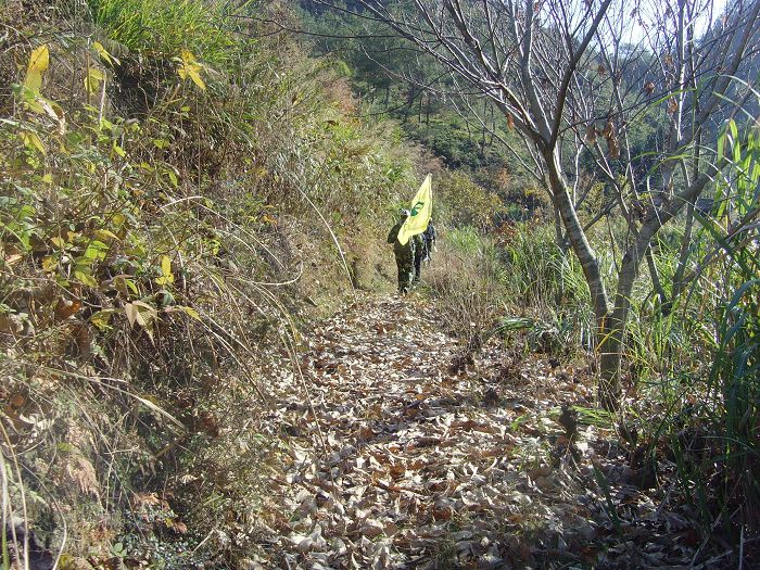 [天台驴友俱乐部]------紫疑山行凯旋而归
