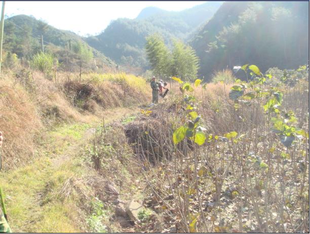 [天台驴友俱乐部]------紫疑山行凯旋而归
