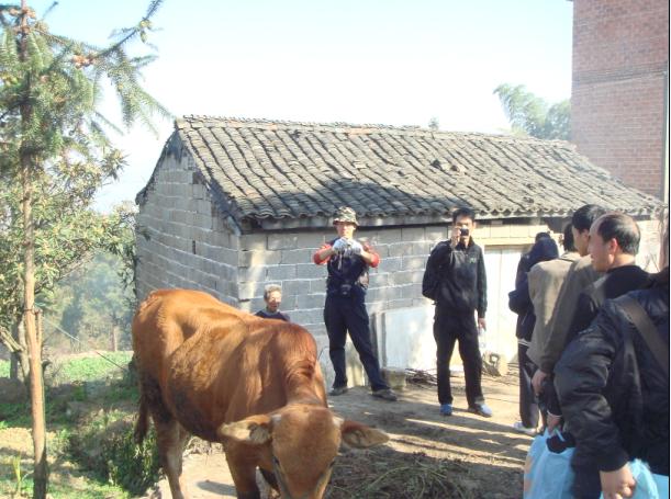 [天台驴友俱乐部]------紫疑山行凯旋而归