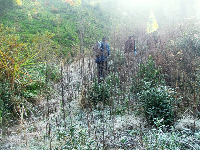 [天台驴友俱乐部]------紫疑山行凯旋而归