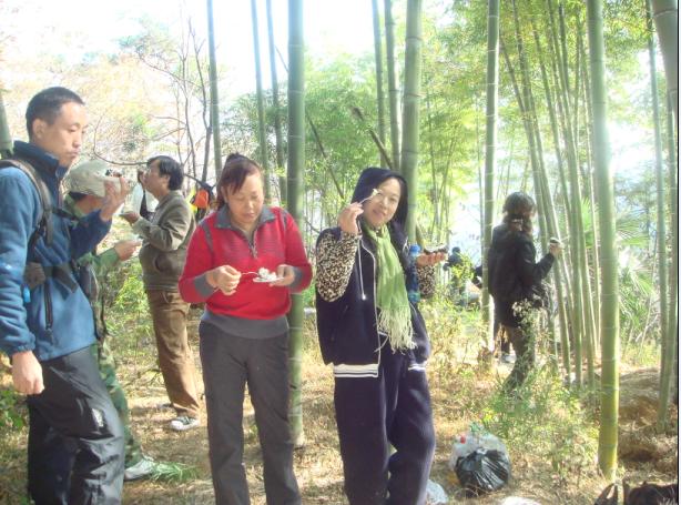 [天台驴友俱乐部]------紫疑山行凯旋而归