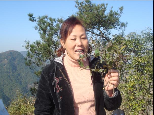 [原创]爬光秃秃的毛草山________吃火辣辣的酸菜鱼________摘铁蒂青的金橘子