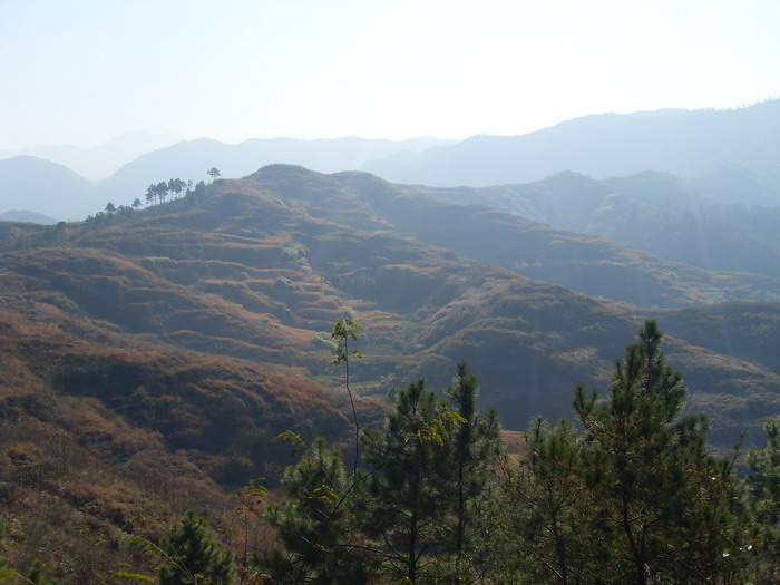 [原创]爬光秃秃的毛草山________吃火辣辣的酸菜鱼________摘铁蒂青的金橘子