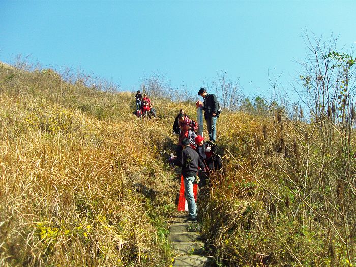[原创]爬光秃秃的毛草山________吃火辣辣的酸菜鱼________摘铁蒂青的金橘子