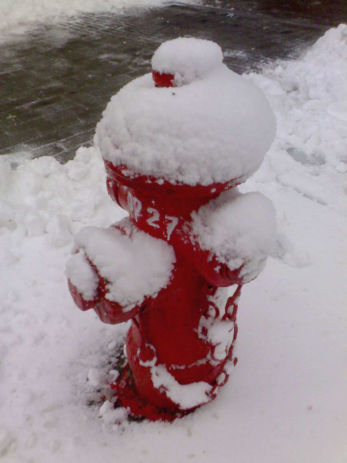 下雪 刚刚手机拍的