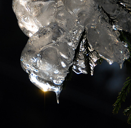 赏冰赏雪赏梅花