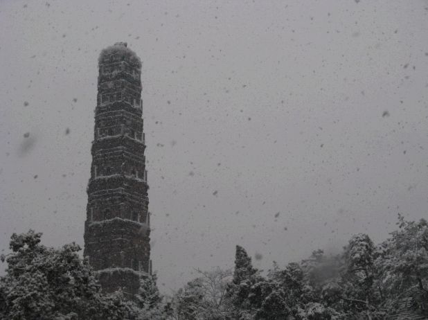 雪飘国清