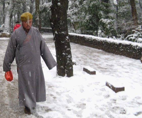 雪飘国清