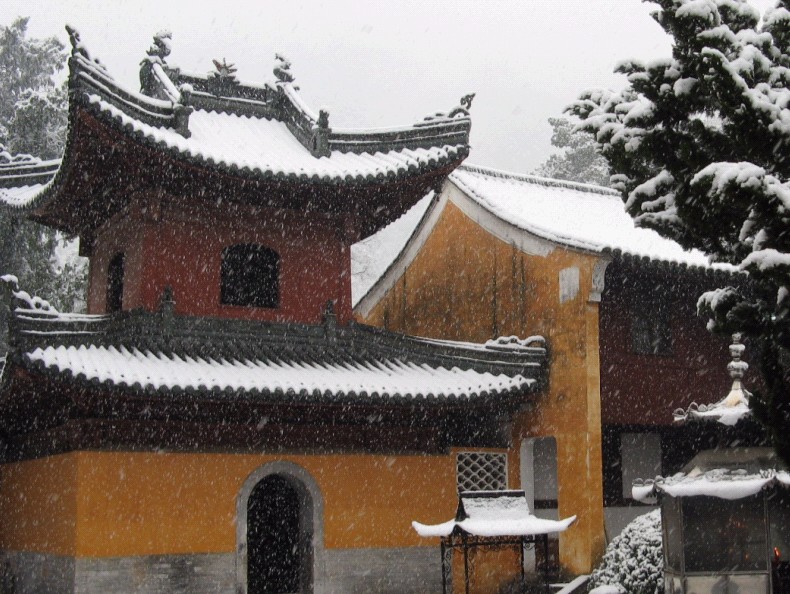 雪飘国清