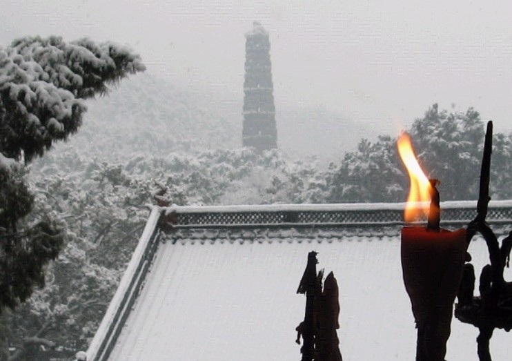雪飘国清