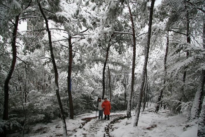 雪中国清寺