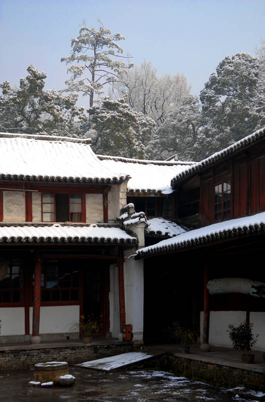 雪