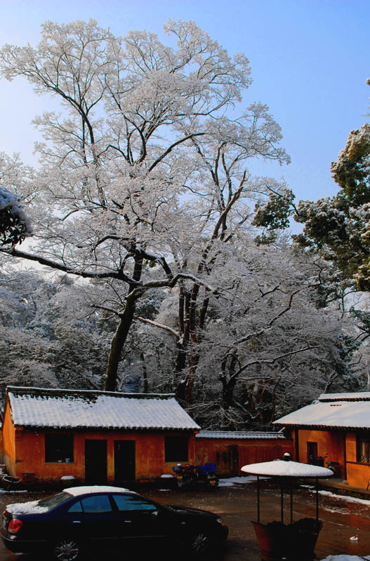 雪