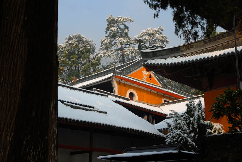 雪