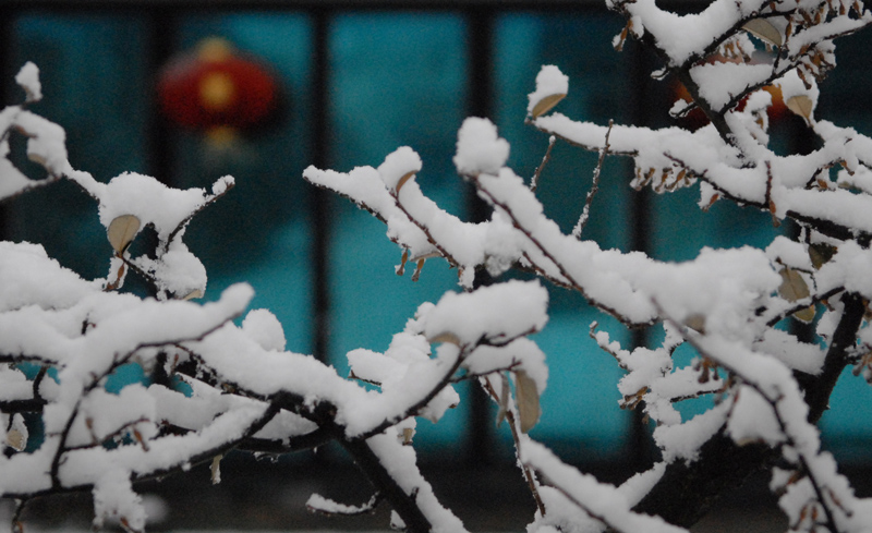 雪