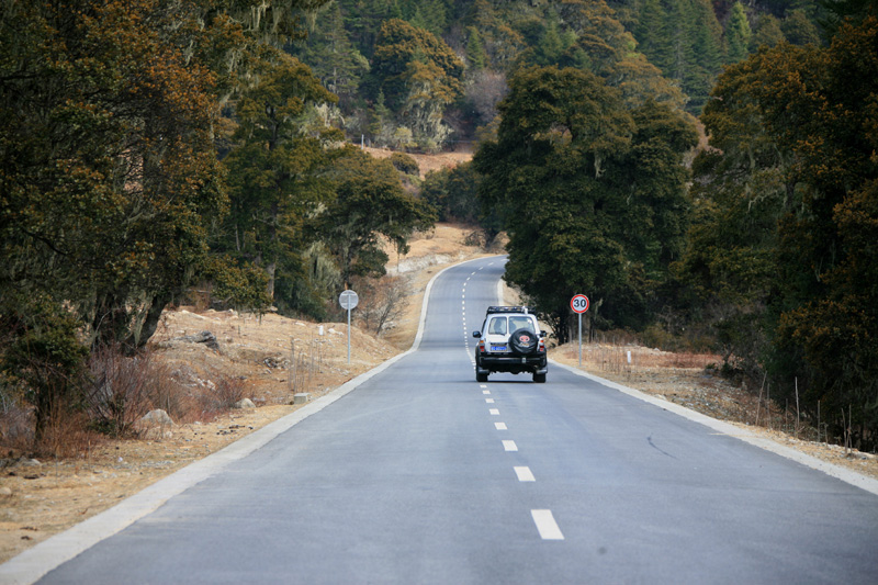 318景观大道