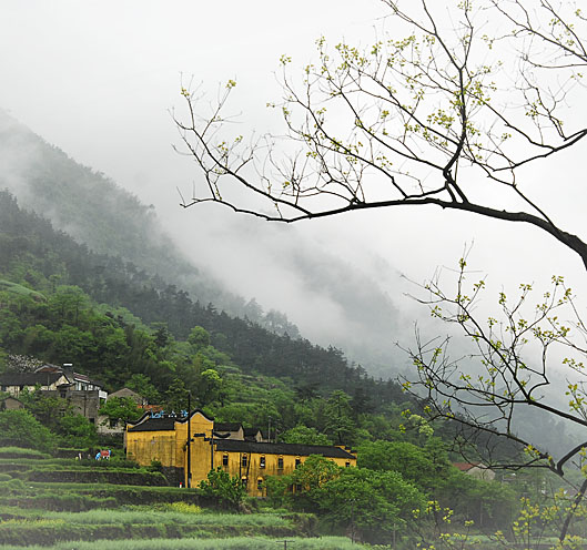 雨后天台山