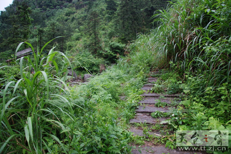 周六(5月24日)徒步潘岙洋------雷音寺
