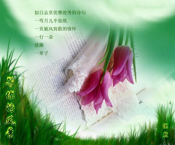 等你的风景