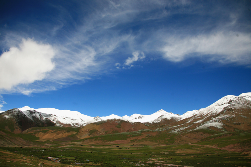 高原牧场