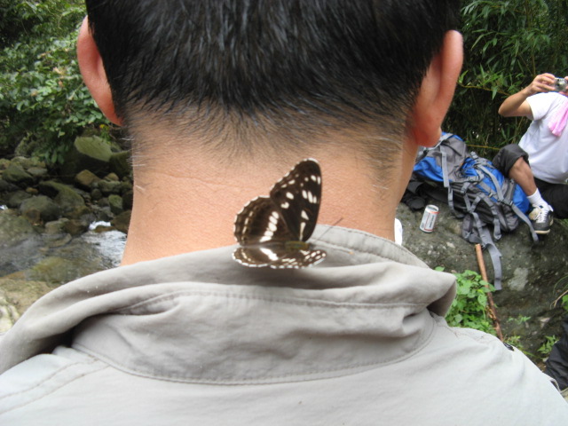 08.8.30潘岙杨－捣臼孔－雷音寺－潘岙杨之登山溯溪PP