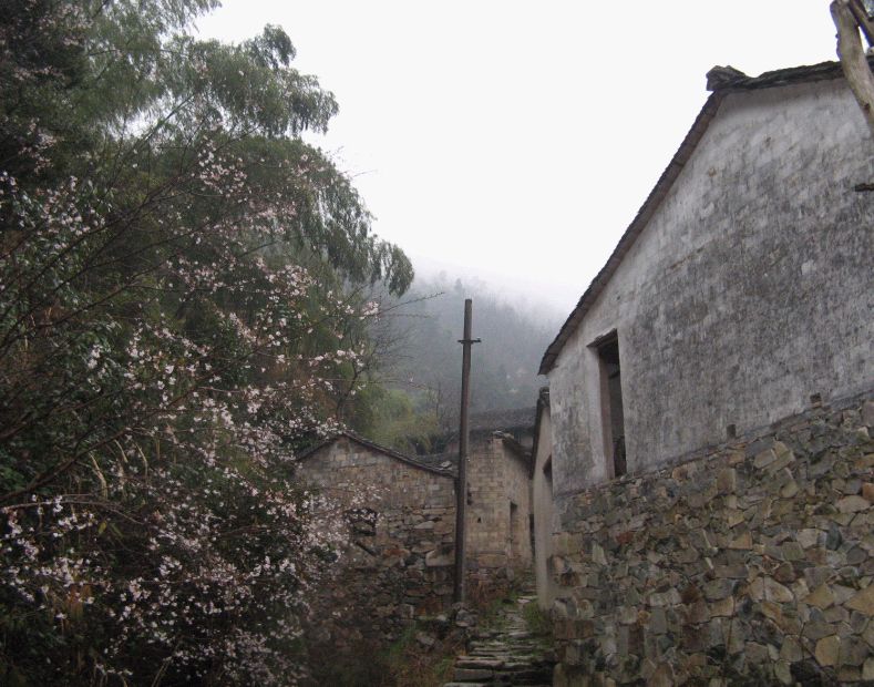 [建议]共建一个世外桃园