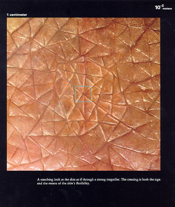 从10亿光年到0.1飞米~~~额滴神啊