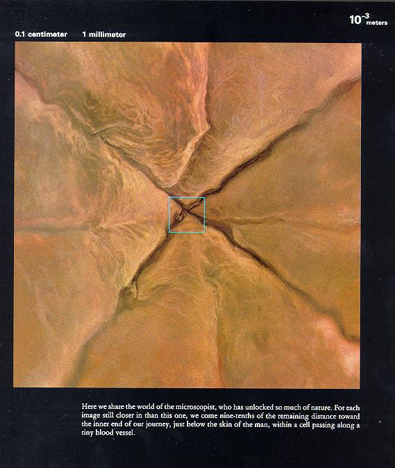 从10亿光年到0.1飞米~~~额滴神啊