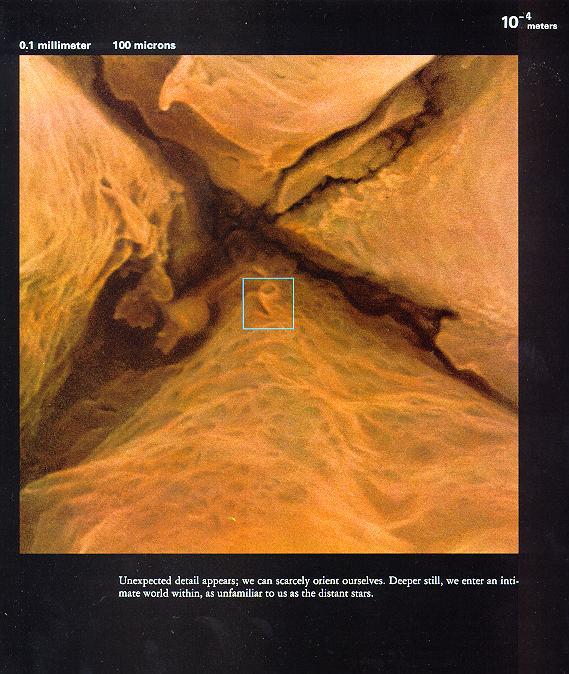 从10亿光年到0.1飞米~~~额滴神啊