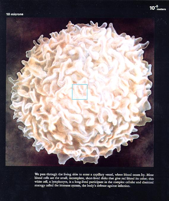 从10亿光年到0.1飞米~~~额滴神啊