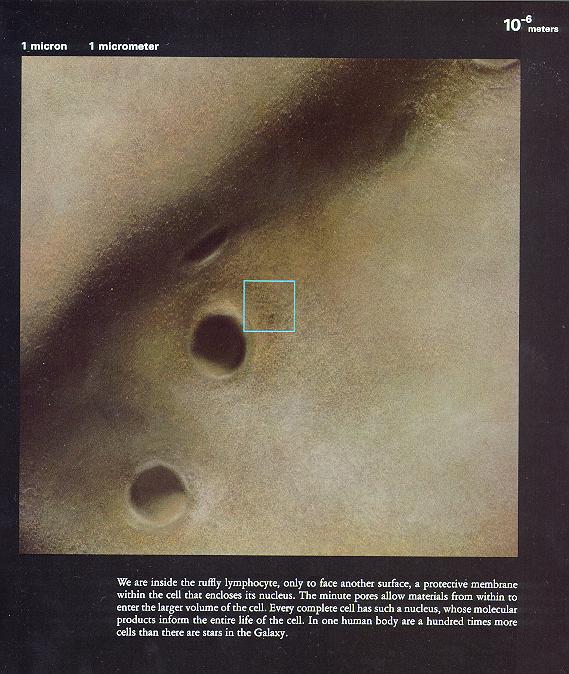 从10亿光年到0.1飞米~~~额滴神啊