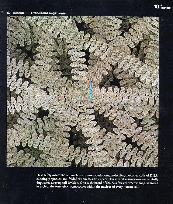 从10亿光年到0.1飞米~~~额滴神啊