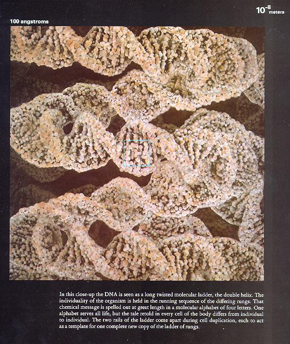 从10亿光年到0.1飞米~~~额滴神啊