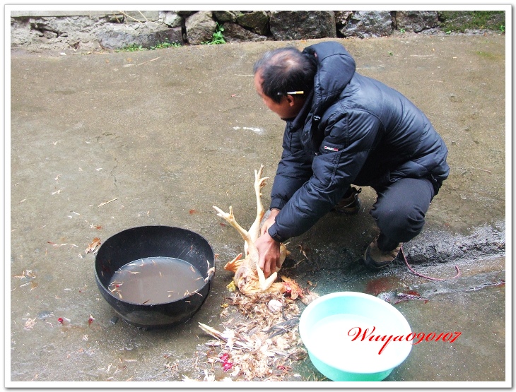[天台驴友俱乐部]活动____捣水糕 . 过大年