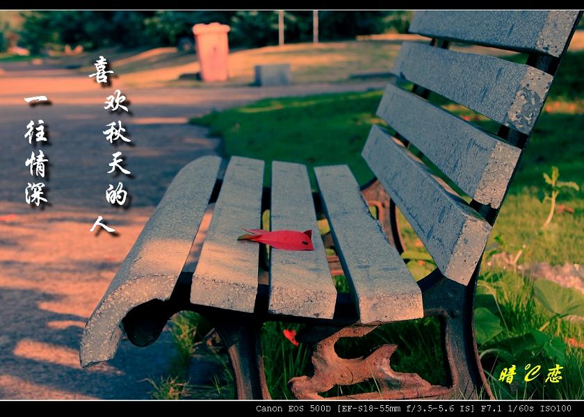 重新上传 秋忆—（不一样的回归林）