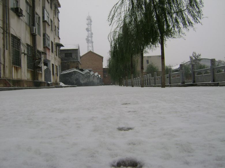 北方的雪景