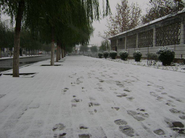 北方的雪景