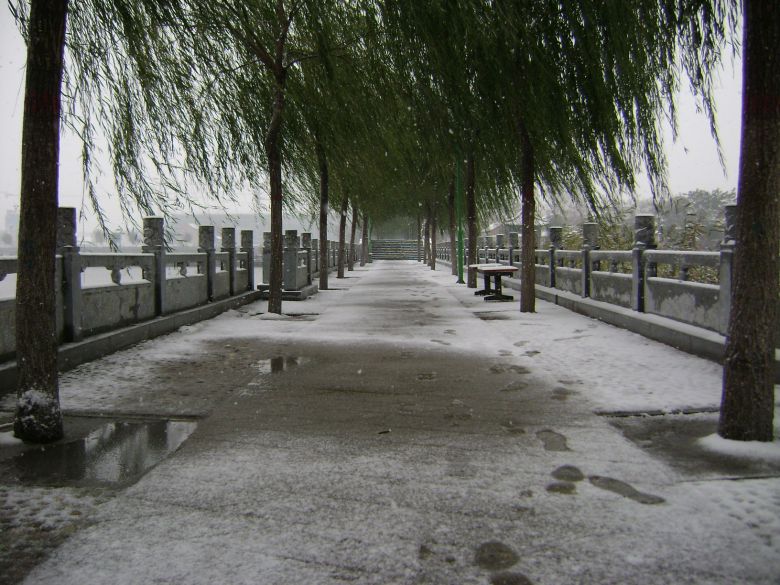 北方的雪景