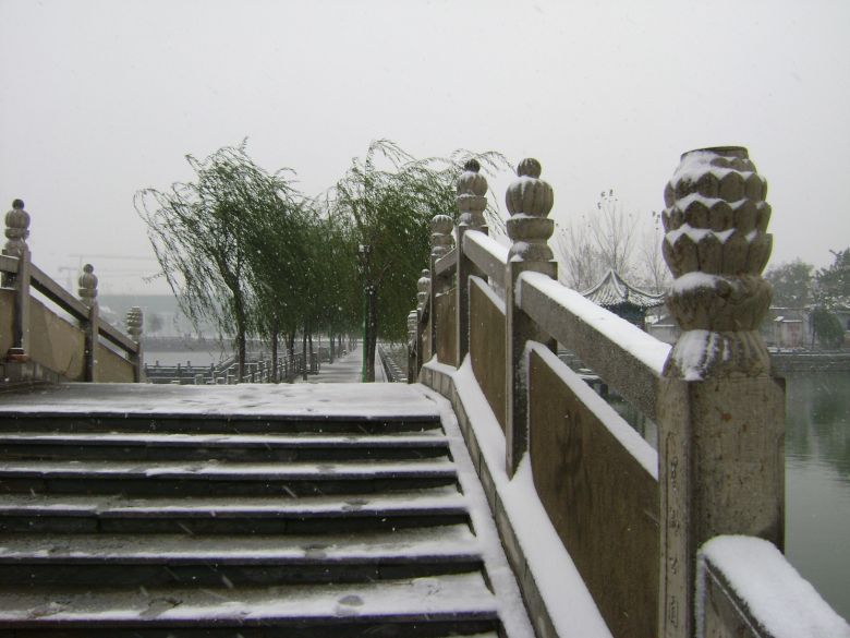 北方的雪景