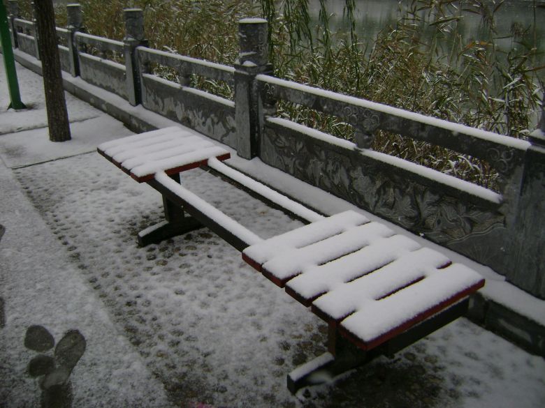 北方的雪景