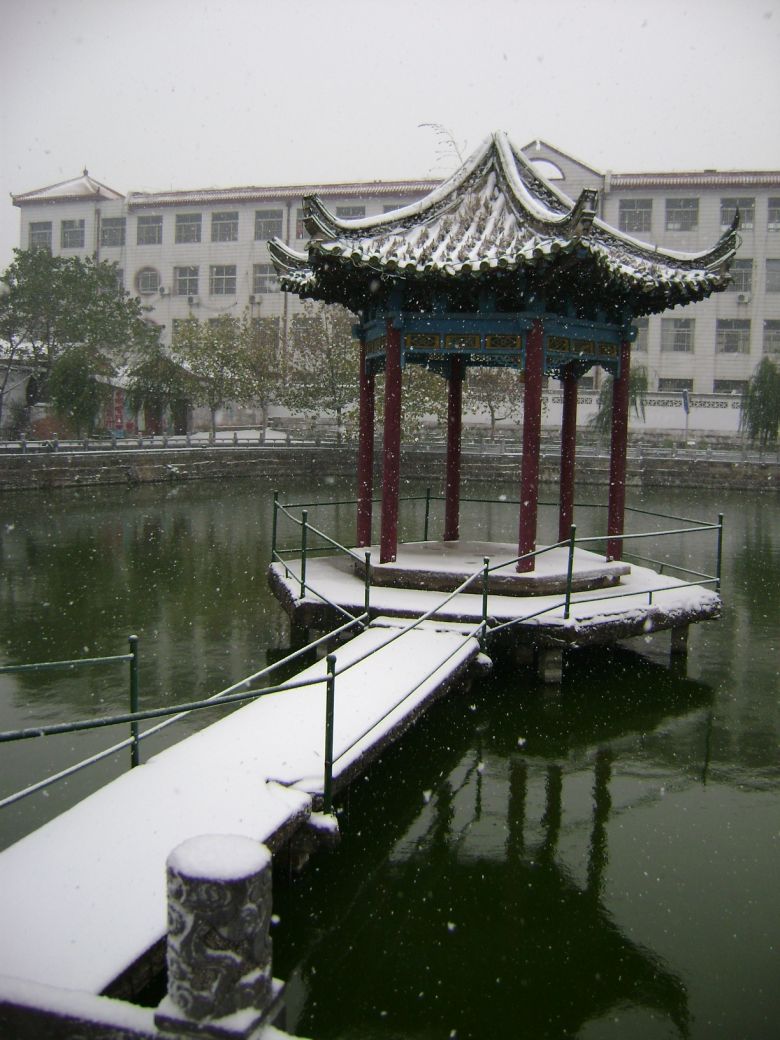 北方的雪景