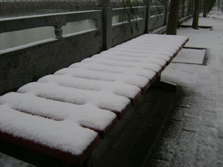 北方的雪景