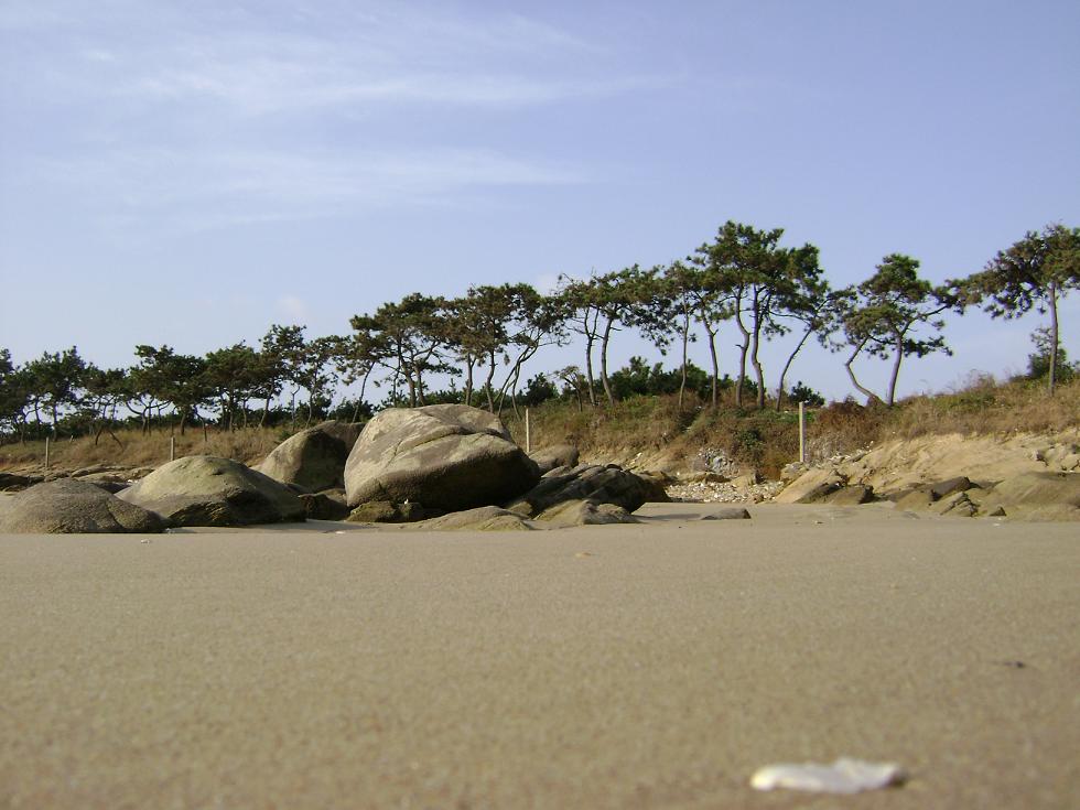 [原创]FB——边行边摄“蓝天、碧海、金沙滩”之——日照归来！