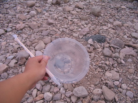 烧烤水水组潜动力所拍照片