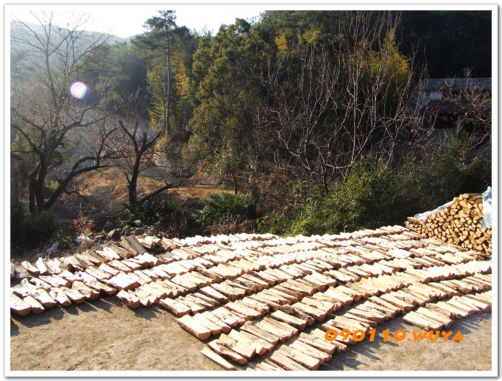 [天台驴友俱乐部]___休闲活动剪影