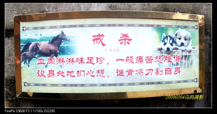 [天台驴友俱乐部]___休闲活动剪影