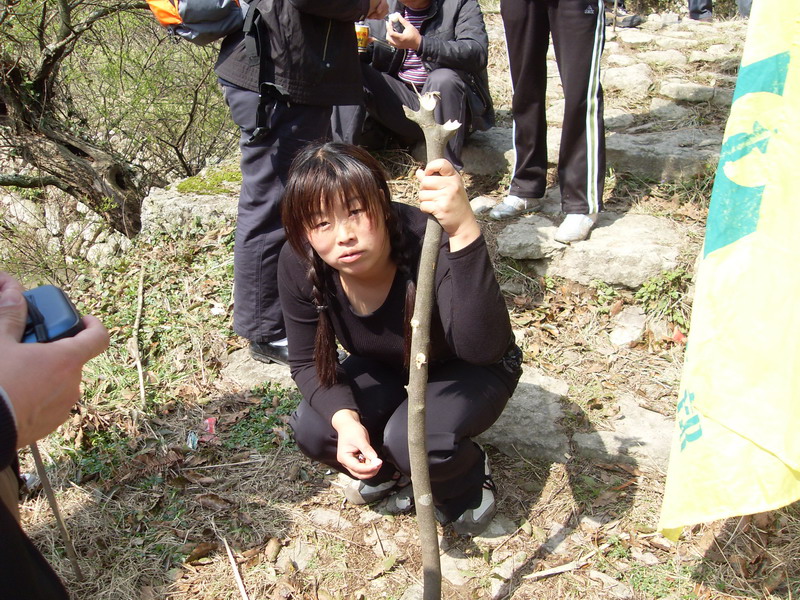 [天台驴友俱乐部]活动之------南山摘日头