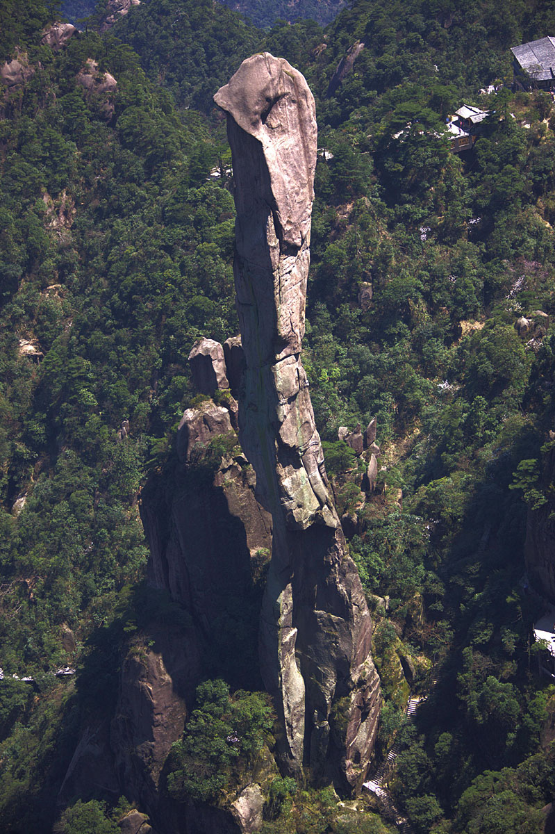 巨蟒出山